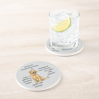 Anatomy of a Golden Retriever - Funny Dog Mom/Dad  Coaster