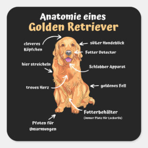 Anatomy Of A Golden Retriever Sweet Dogs Funny Square Sticker