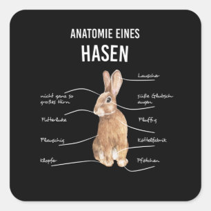 Anatomy Of A Hare Rabbit Bunny Rabbit Square Sticker