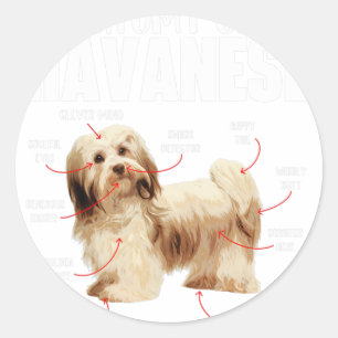 Anatomy Of A Havanese - Cuban Havaneser Havanezer Classic Round Sticker