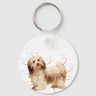 Anatomy Of A Havanese - Cuban Havaneser Havanezer  Key Ring
