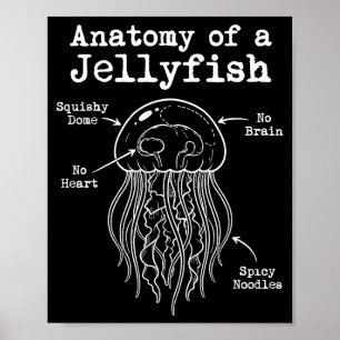 Anatomy of a jellyfish spicy noodles funny marine poster