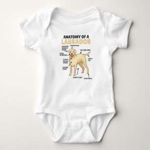 Anatomy Of A Labrador Retriever Sweet Dogs Baby Bodysuit