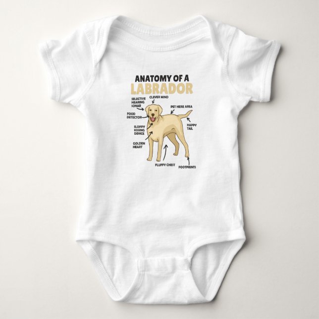 Anatomy Of A Labrador Retriever Sweet Dogs Baby Bodysuit (Front)