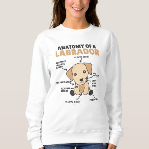 Anatomy Of A Labrador Retriever Sweet Dogs Sweatshirt