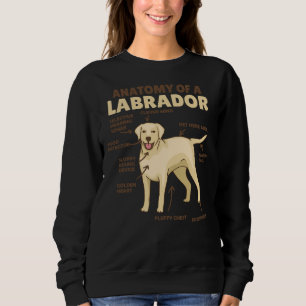 Anatomy Of A Labrador Retriever Sweet Dogs Sweatshirt