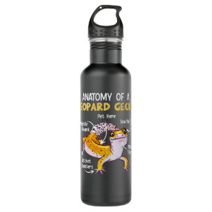 Anatomy Of A Leopard Gecko 710 Ml Water Bottle