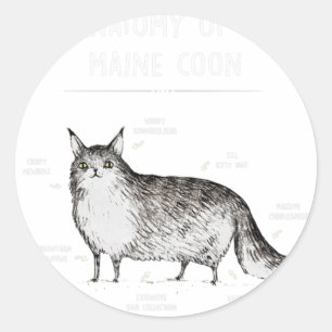 Anatomy Of A Maine Coon Shirt Funny Cat Humour Gif Classic Round Sticker