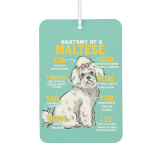 anatomy of a maltese dog lover car air freshener