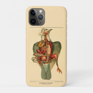 Anatomy of a Pigeon Case-Mate iPhone Case