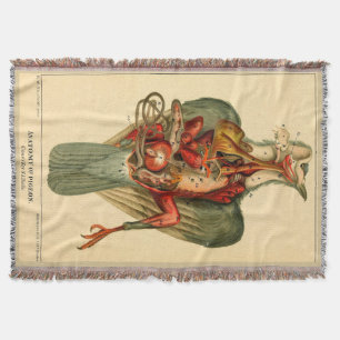 Anatomy of a Pigeon Throw Blanket