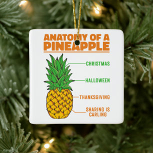 Anatomy Of A Pineapple Lovers Holidays Family Cool Ceramic Ornament