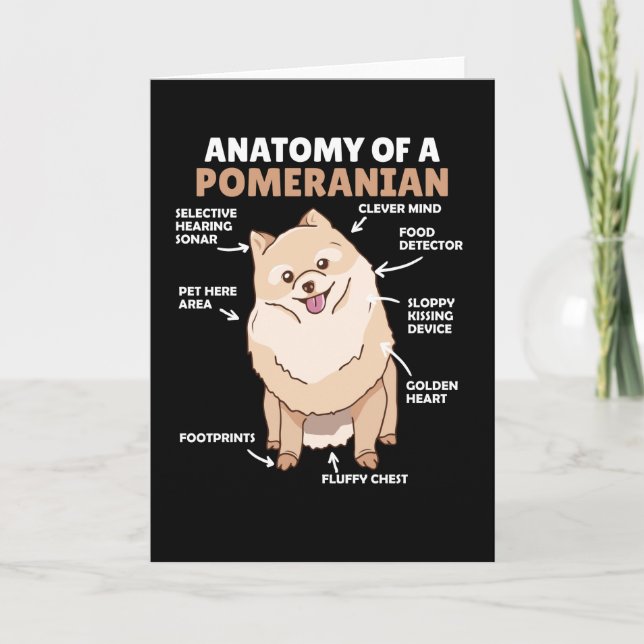 Anatomy Of A Pomeranian Cute Dog Puppy Card (Front)