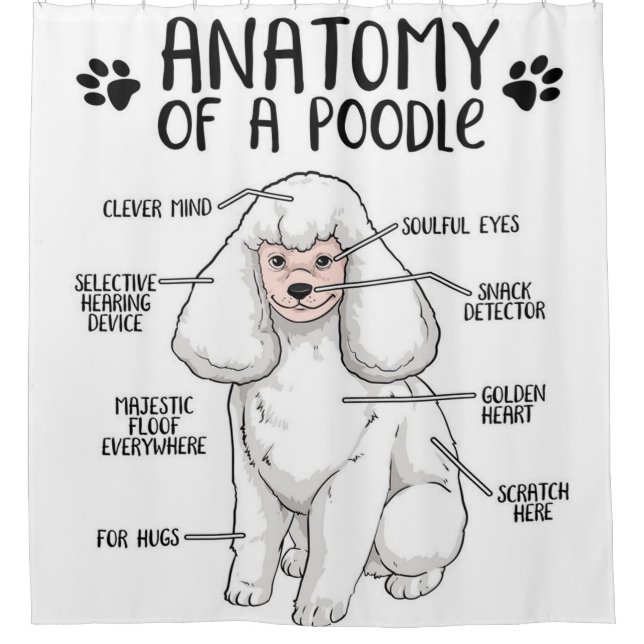 Anatomy Of A Poodle Lover Gift Shower Curtain (Front)