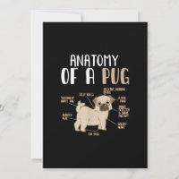 Anatomy Of A Pug Breed Dog Pet Hound Lover