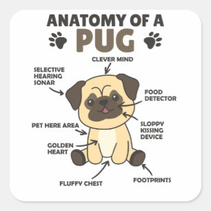 Anatomy Of A Pug Sweet Dogs Funny Puppy Square Sticker