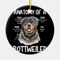 Anatomy Of A Rottweiler For Dog Lovers