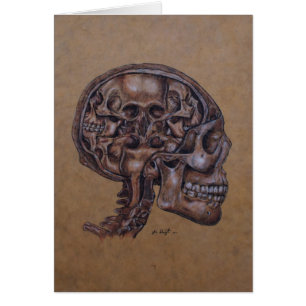 Anatomy of a Schizophrenix