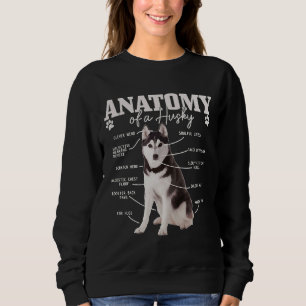 Anatomy Of A Siberian Husky Funny Cute Dog Husky M Sweatshirt