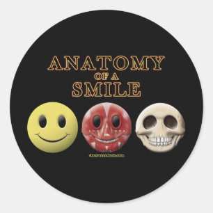Anatomy of a Smile Classic Round Sticker