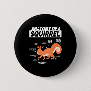 Anatomy Of A Squirrel 6 Cm Round Badge