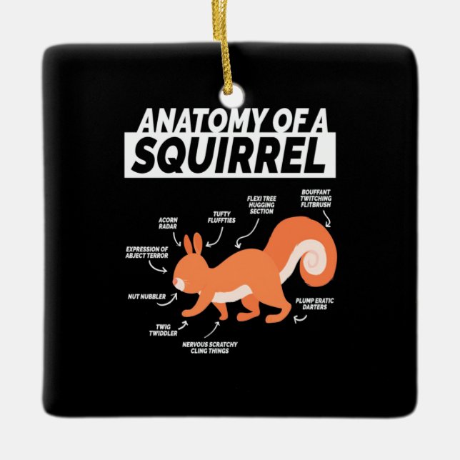 Anatomy Of A Squirrel Ceramic Ornament (Front)
