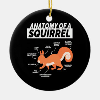 Anatomy Of A Squirrel Ceramic Tree Decoration