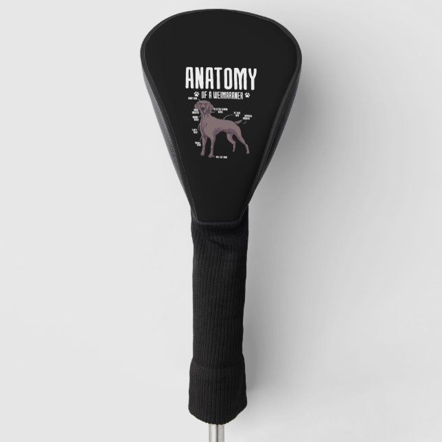 Anatomy Of A Weimaraner Golf Head Cover (Front)