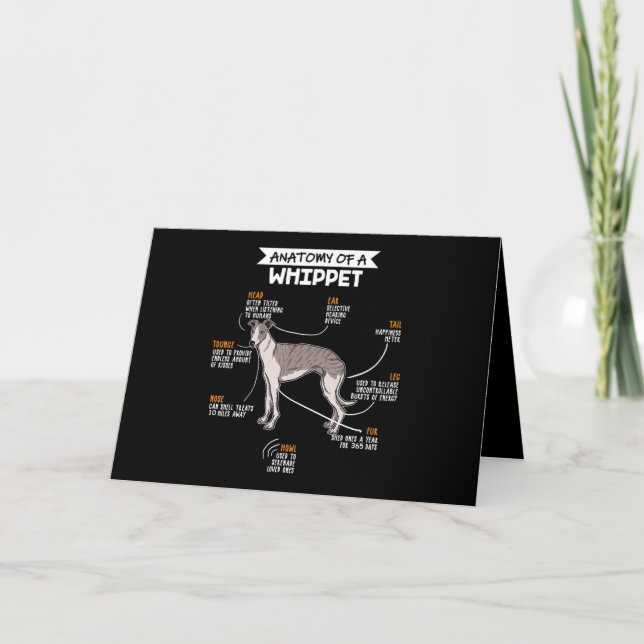 anatomy of a whippet dog funny dog lover gift card (Front)