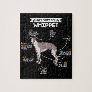 anatomy of a whippet dog funny dog lover gift jigsaw puzzle