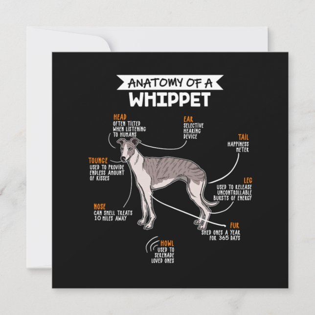 Anatomy Of A Whippet Dog Invitation (Front)