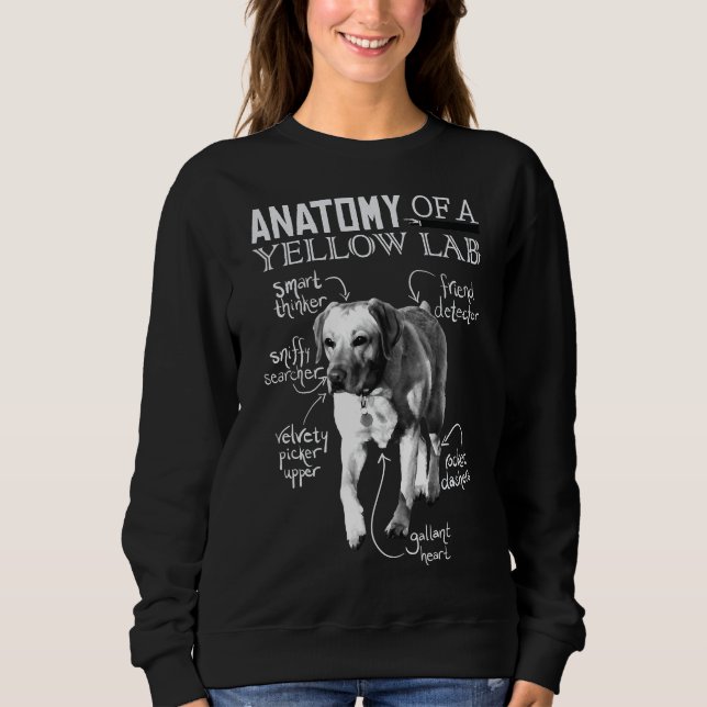 Anatomy Of A Yellow Lab Chalkboard Sweatshirt (Front)
