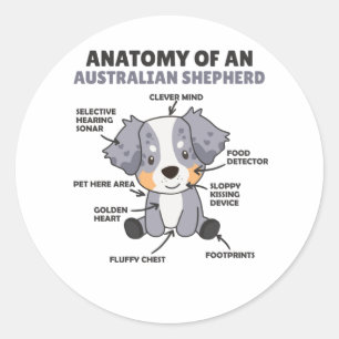 Anatomy Of An Australian Shepherd Sweet Dogs Classic Round Sticker