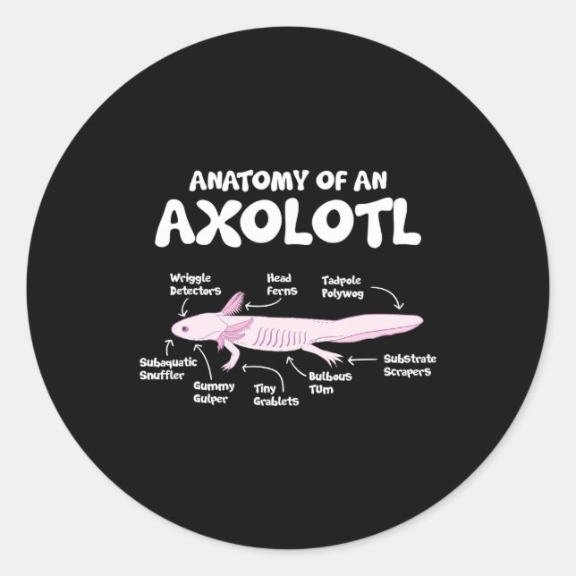 anatomy of an axolotl  axolotls biology science classic round sticker (Front)