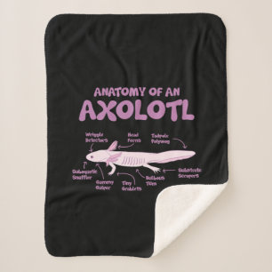 anatomy of an axolotl axolotls biology science . sherpa blanket