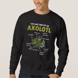 Anatomy Of an Axolotl Sweet Axolotl Explanation 2 Sweatshirt