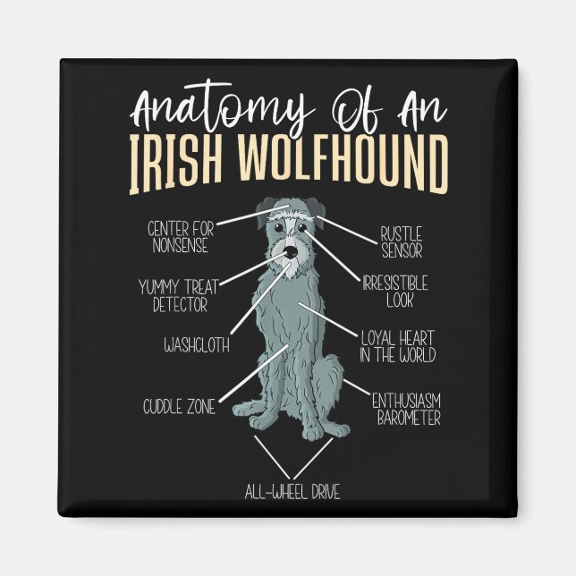 Anatomy Of An Irish Wolfhound  Magnet (Front)