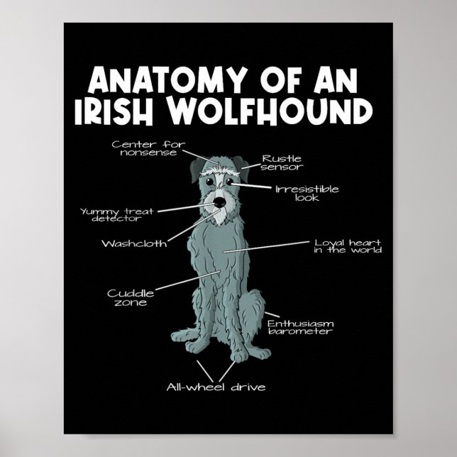 Anatomy Of An Irish Wolfhound  Poster (Front)