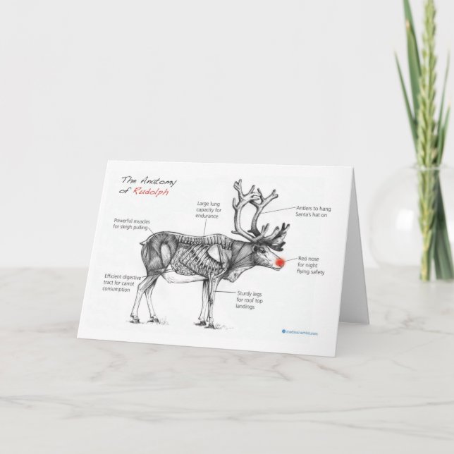 Anatomy of Christmas Card (Front)