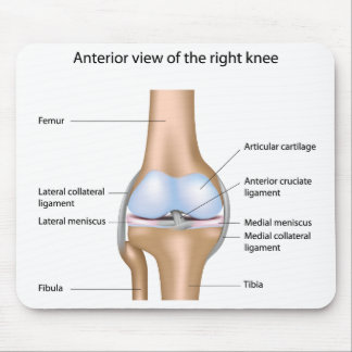 Anatomy of knee joint Mousepad