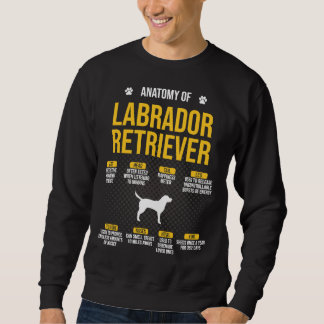 Anatomy Of Labrador Retriever Dog 164 Sweatshirt