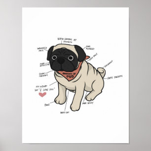 Anatomy Of Pug Dog Chart