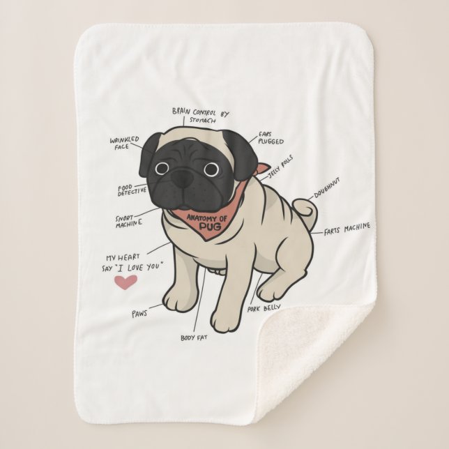 Anatomy Of Pug Dog Chart Sherpa Blanket (Front)
