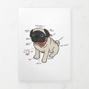 Anatomy Of Pug Dog Chart Tri-Fold Announcement