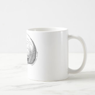 Anatomy of Skull Coffee Mug