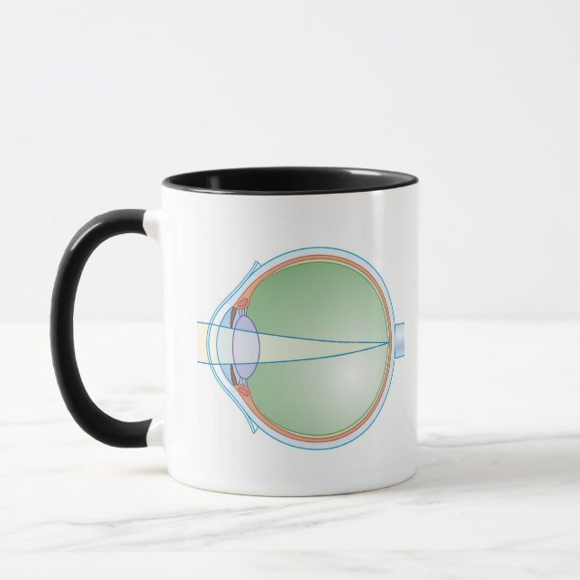 Anatomy of the Eye Mug (Left)