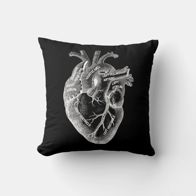 Anatomy of the Heart Cushion (Front)