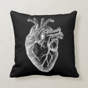 Anatomy of the Heart Cushion