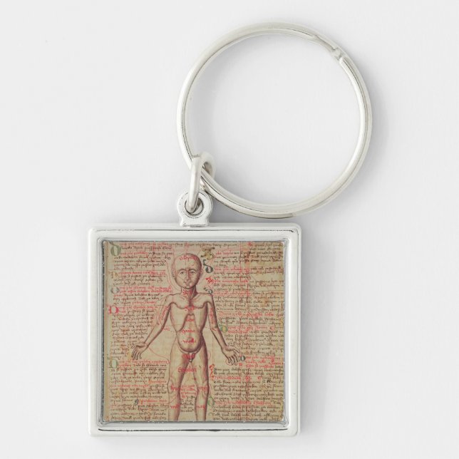 Anatomy of the human body key ring (Front)