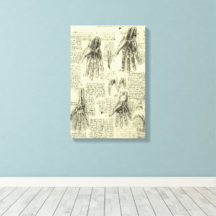 Anatomy of the Human Hand by Leonardo da Vinci Canvas Print